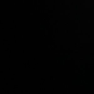 Meet your Posher, Jacqueline